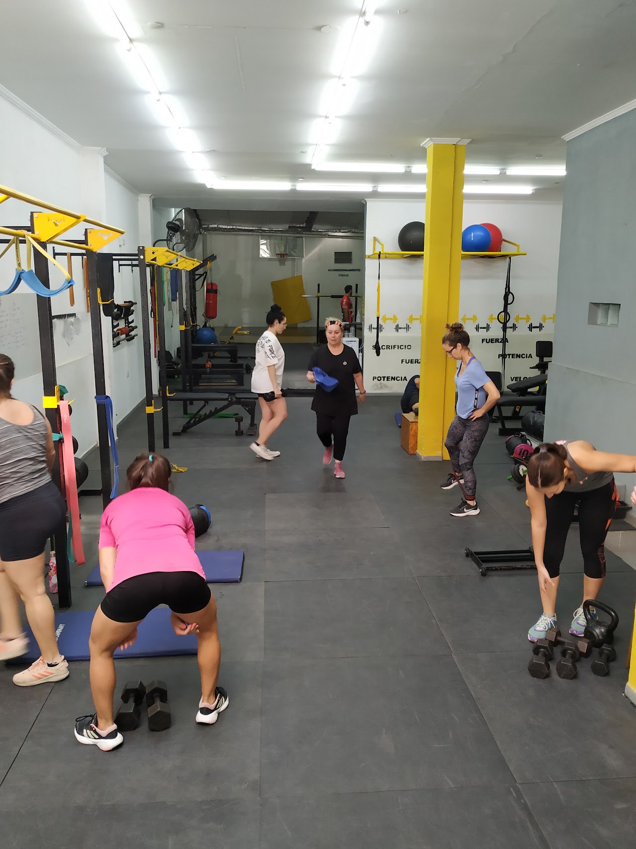 Sala de musculación y peso libre STOA Paraná